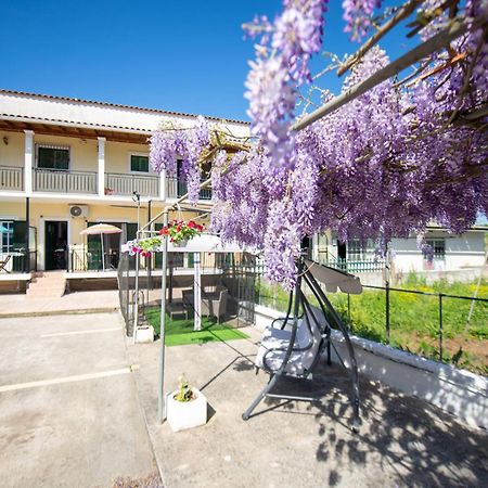 Ionian Luxury Apartments Perama  Exteriör bild